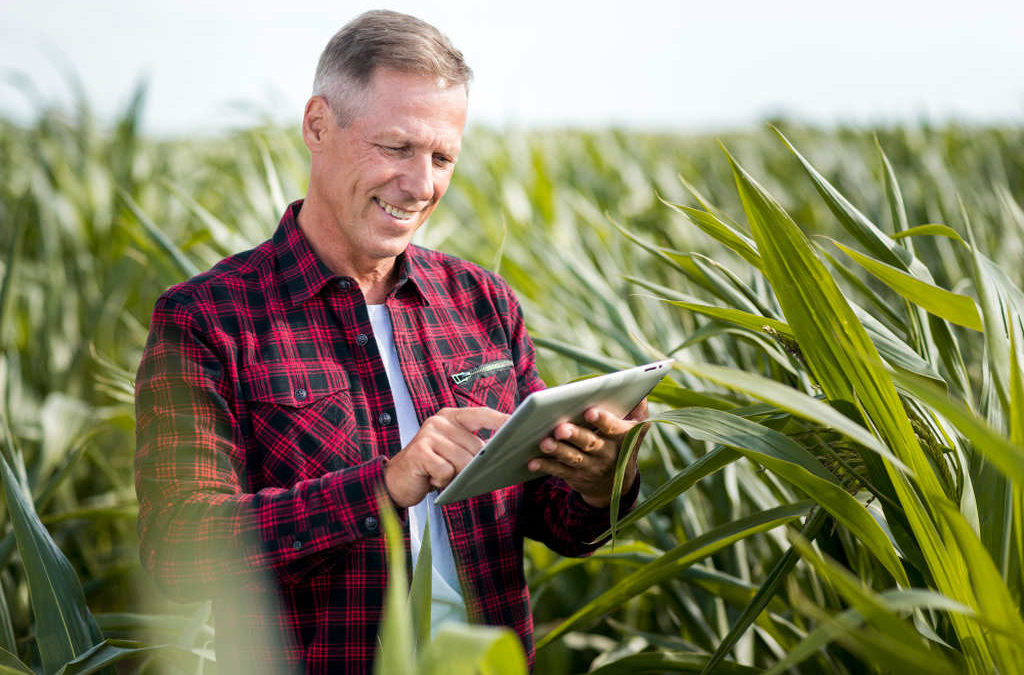 Holding no agronegócio: o que é, para que serve e vantagens